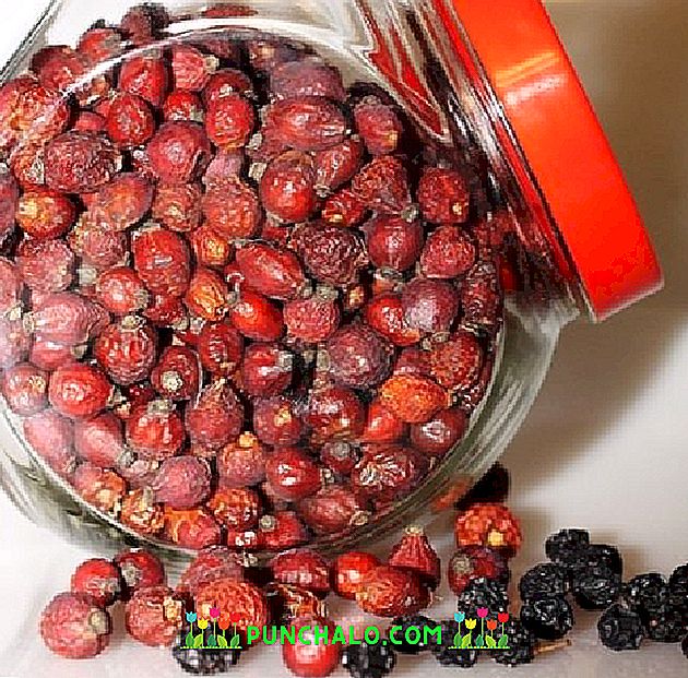 receptas su gudobelių vaisiais nuo hipertenzijos